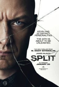 split-plakat